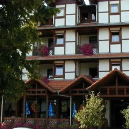 Hotel Blick Zum Maimont 3*