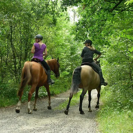 酒店 Blick Zum Maimont 3*