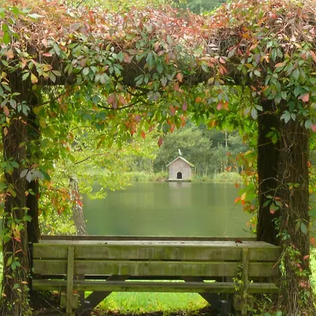 Blick Zum Maimont 3* Ludwigswinkel