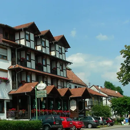 Blick Zum Maimont Hotel Ludwigswinkel