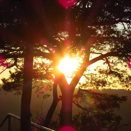 Blick Zum Maimont Hotel Ludwigswinkel