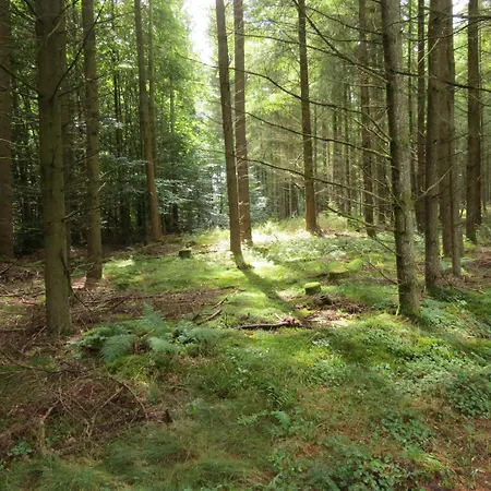 Hotel Blick Zum Maimont