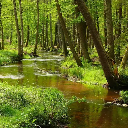 Hotel Blick Zum Maimont 3*