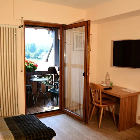 酒店 Blick Zum Maimont Ludwigswinkel