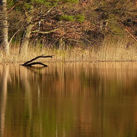 酒店 Blick Zum Maimont Ludwigswinkel