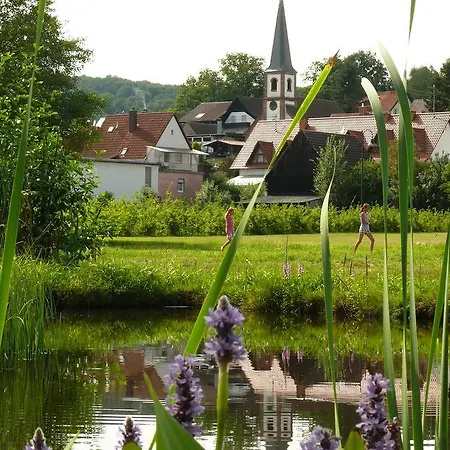 Blick Zum Maimont Ludwigswinkel