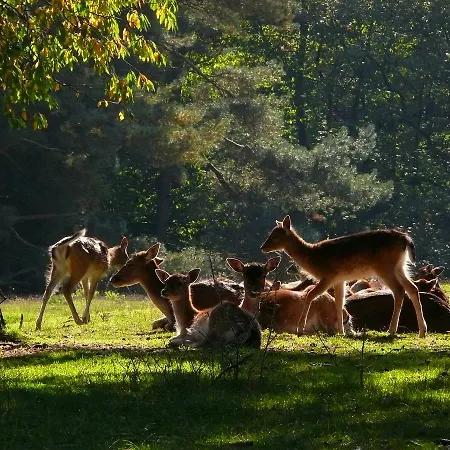 Blick Zum Maimont 3* Ludwigswinkel