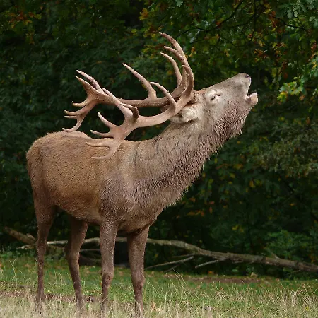 Hotel Blick Zum Maimont