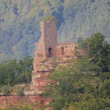 Blick Zum Maimont Ludwigswinkel