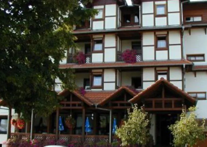 Hotel Blick Zum Maimont 3*