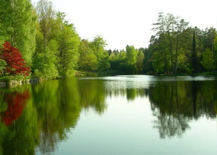 Blick Zum Maimont 3* Ludwigswinkel