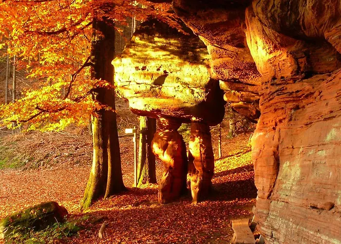 Blick Zum Maimont Ludwigswinkel