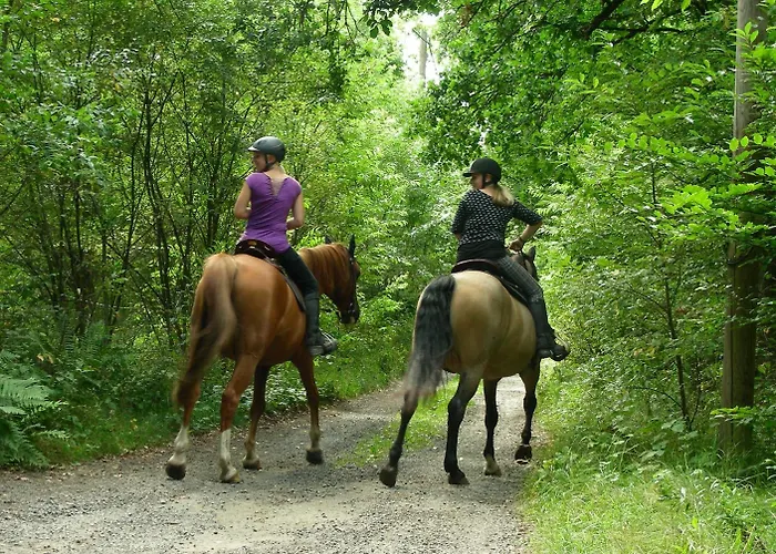 מלון Blick Zum Maimont 3*