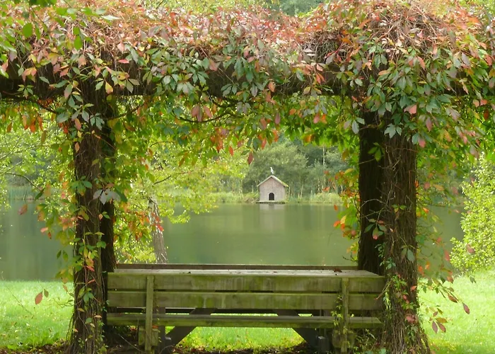 Blick Zum Maimont 3* Ludwigswinkel