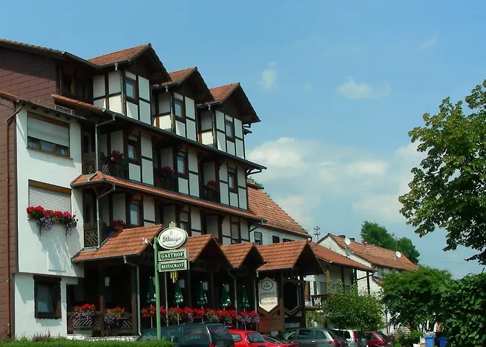 Blick Zum Maimont מלון Ludwigswinkel