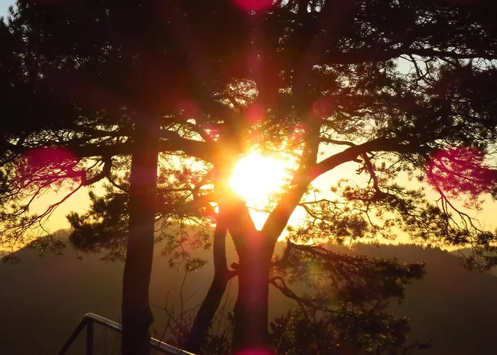 Blick Zum Maimont מלון Ludwigswinkel