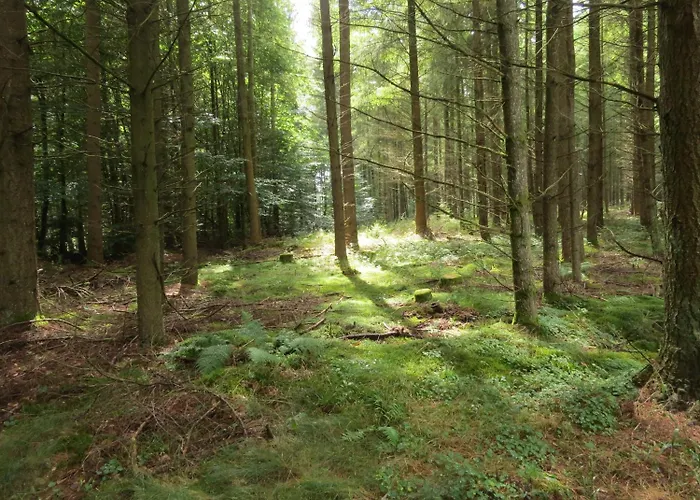 Hotel Blick Zum Maimont