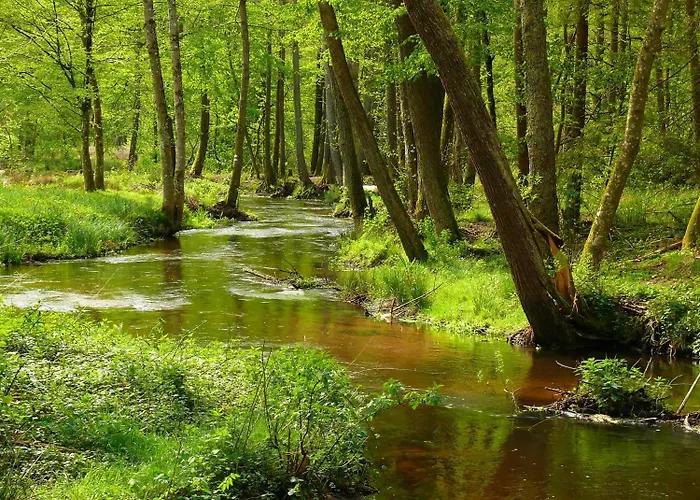 מלון Blick Zum Maimont 3*