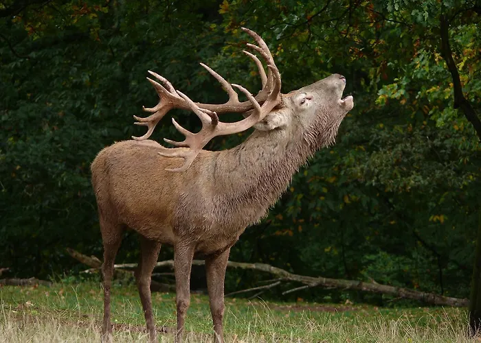 Hotel Blick Zum Maimont